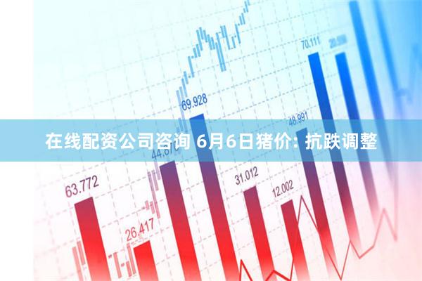 在线配资公司咨询 6月6日猪价: 抗跌调整