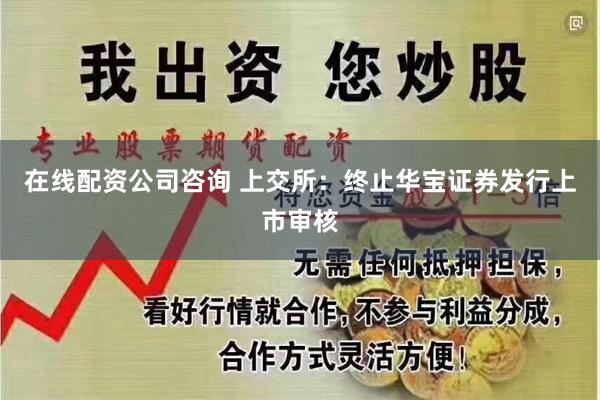 在线配资公司咨询 上交所：终止华宝证券发行上市审核