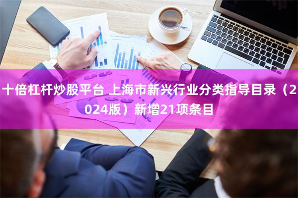 十倍杠杆炒股平台 上海市新兴行业分类指导目录（2024版）新增21项条目
