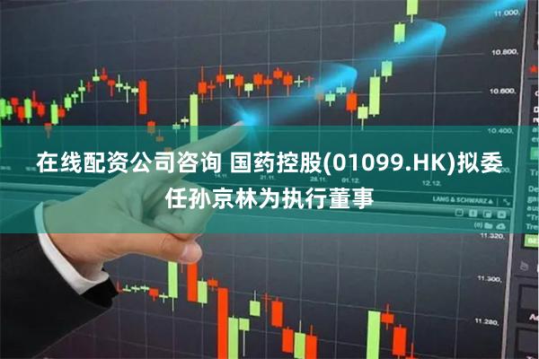 在线配资公司咨询 国药控股(01099.HK)拟委任孙京林为执行董事