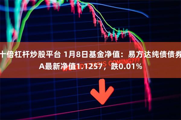 十倍杠杆炒股平台 1月8日基金净值：易方达纯债债券A最新净值1.1257，跌0.01%