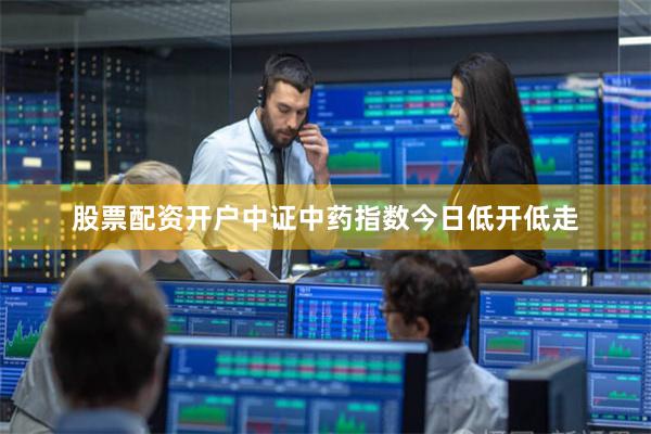 股票配资开户中证中药指数今日低开低走