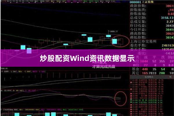 炒股配资Wind资讯数据显示