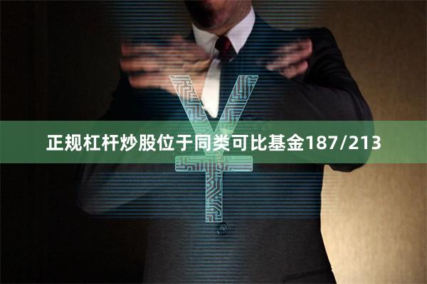 正规杠杆炒股位于同类可比基金187/213